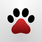 Top 29 Social Networking Apps Like Pets - Your Pets' Life - Best Alternatives