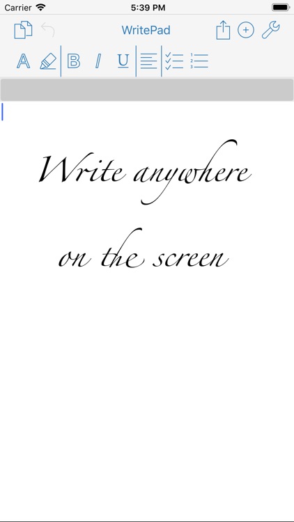 WritePad Professional