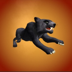 Activities of Wild Black Panther Simulator