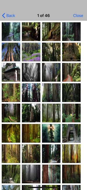 Sequoia Canyon N.Park(圖5)-速報App