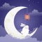 Icon Lullaby music for babies zz