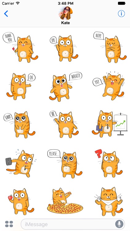 Cute Cat - Stickers for Message