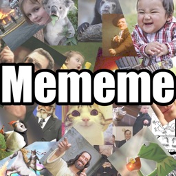 Meme with Me