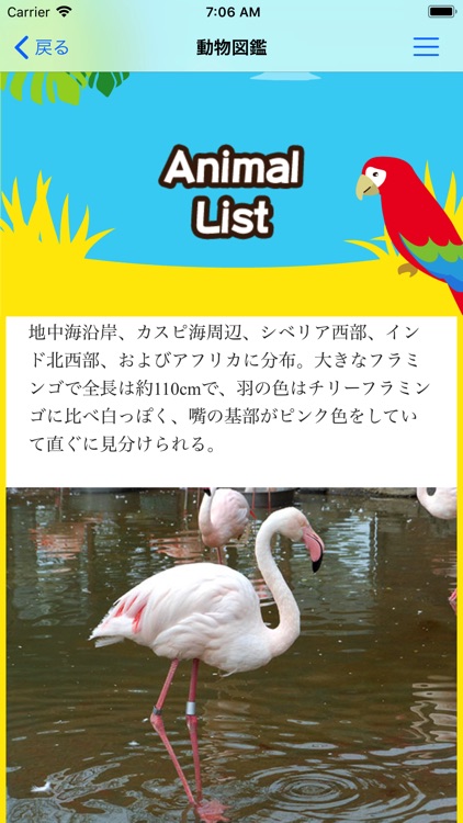 Omoriyama Zoo screenshot-3