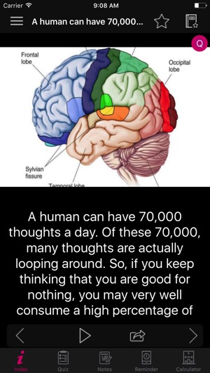 Human Brain Facts & Quiz 2000(圖4)-速報App