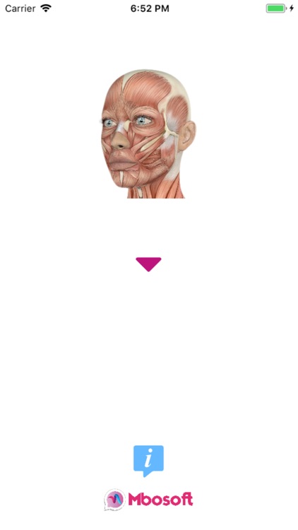 HumanAr Anatomy