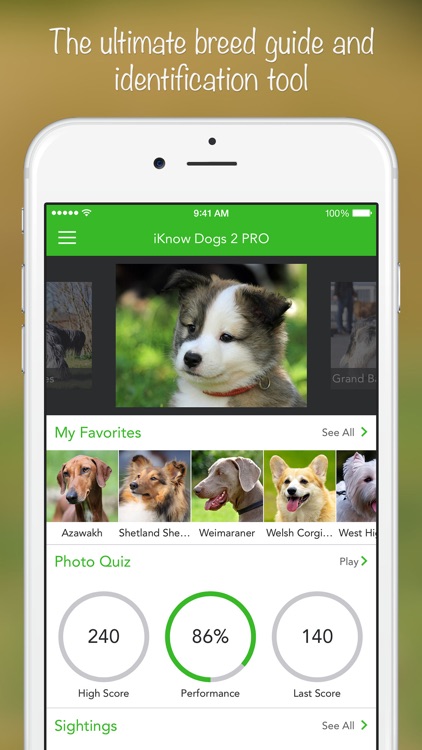 iKnow Dogs 2 PRO screenshot-0