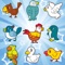 A wonderful memory game and a cute collection of birds for toddlers and kids