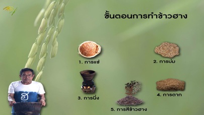 Thai rice RoongAroon screenshot 4