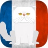 CatsAndVerbs - French verbs!