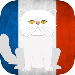 CatsAndVerbs - French verbs!