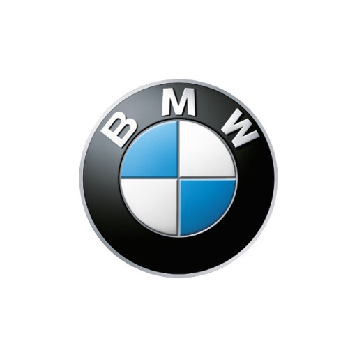 BMW SmartTV icon