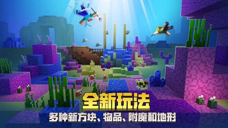 我的世界 screenshot-6