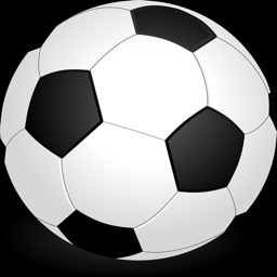 pickup_soccer