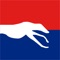 Brought to you by the Greyhound Board of Great Britain, it’s free to download and the only place where you can get fast results, full racecards, exclusive track offers and email notifications to ensure you never miss your favourite greyhound run
