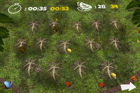 Critter Match screenshot 4