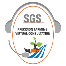 Virtual Consultant