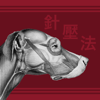 Tallgrass Animal Acupressure Resources LLC - Canine Acupoints アートワーク