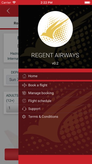 Fly Regent Airways(圖3)-速報App