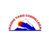 Taxi Cordillera Conductor