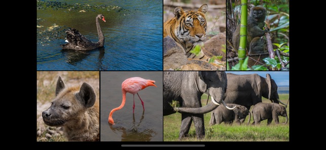 WorldView: Wildlife(圖3)-速報App