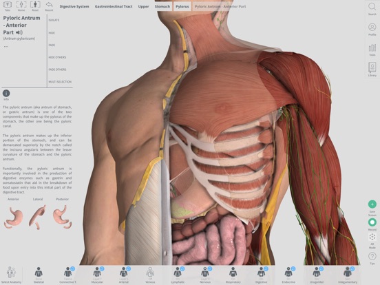 Complete anatomy 2018 3 2 – anatomy learning platform 2 inch