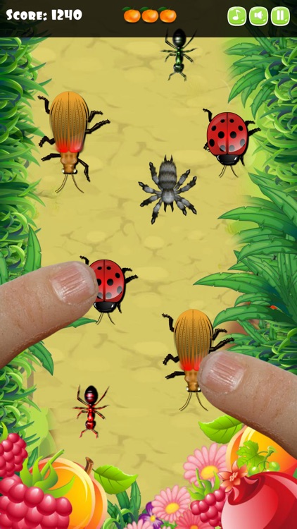Insect Smasher for Kids