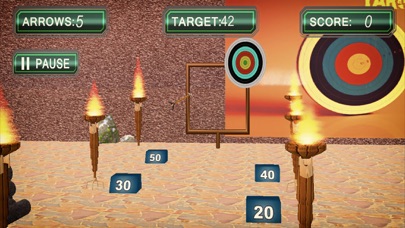 Archery Targets Super Hit screenshot 4