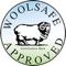 WoolSafe – Carpet Stain Cleaning Guide