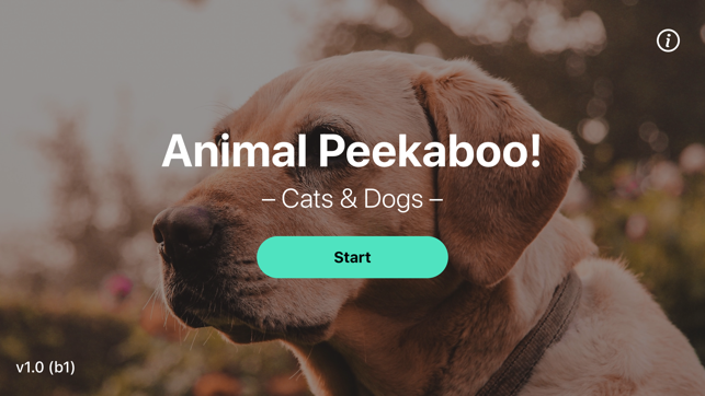 Animal Peekaboo - Cats & Dogs