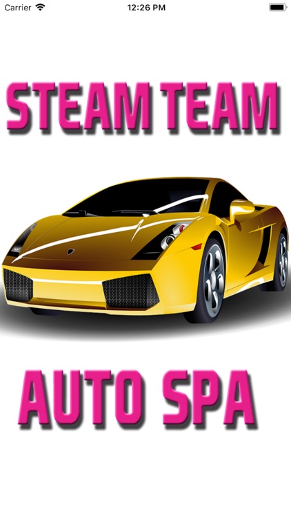 Steam Team Auto Spa