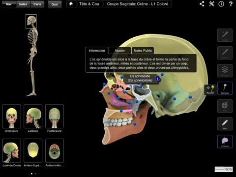 Skeleton System Pro III screenshot 3