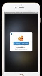 Silvestre FM 91,1 Captura de tela 5