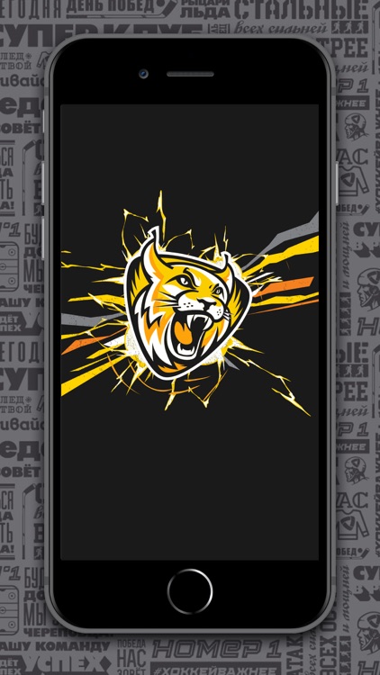 ХК Северсталь