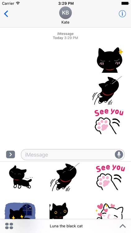 Luna the black cat