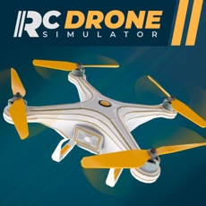 Activities of RC Drone Flight Simulator