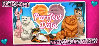 Purrfect Date - Screenshot 1