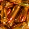 AmmoBase is a awesome database program for keeping track of your Ammunition inventory and purchase history