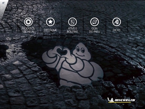 Oferta Michelin screenshot 2