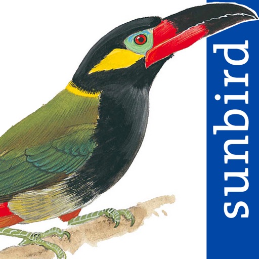 All Birds Guianas, Suriname, Guyana, French Guiana