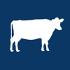 COW - Photos market app.