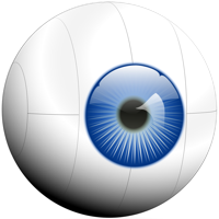 webcam+ Smartphone IP Camera