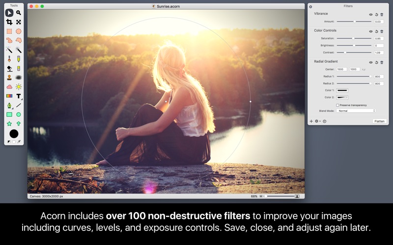Acorn_6_Image_Editor.app caprure 1 1_Acorn_6_Image_Editor.jpg