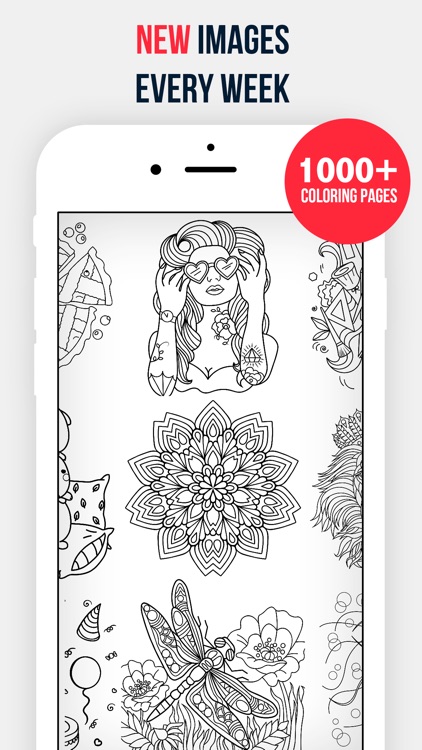 Bloom - Adult Coloring Book