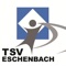 Die Geschichte des TSV