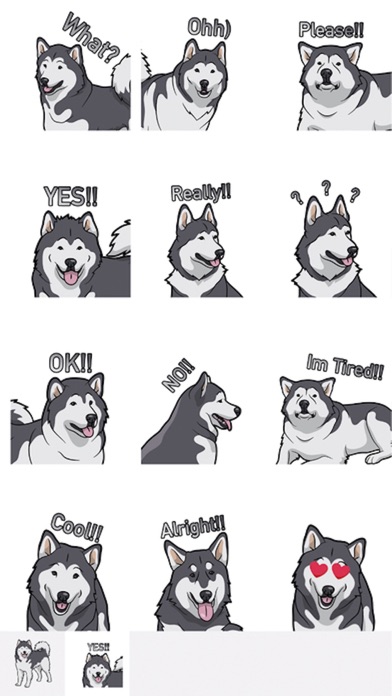 My Malmute DogMoji Stickers screenshot 2