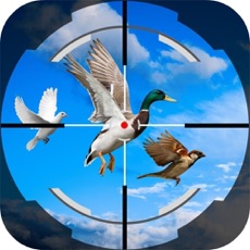 Activities of Master Sinper Wild Duck 3D