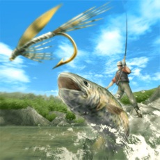 Activities of Fly Fishing 3D Premium