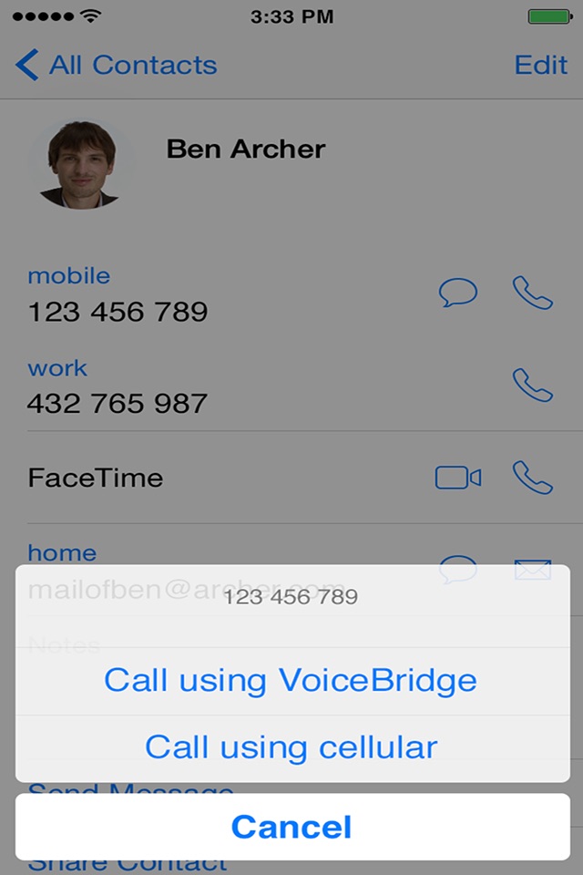 Voice Bridge screenshot 2
