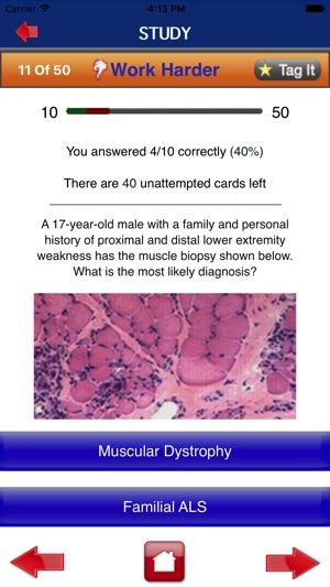 NEURO 50:50(圖5)-速報App